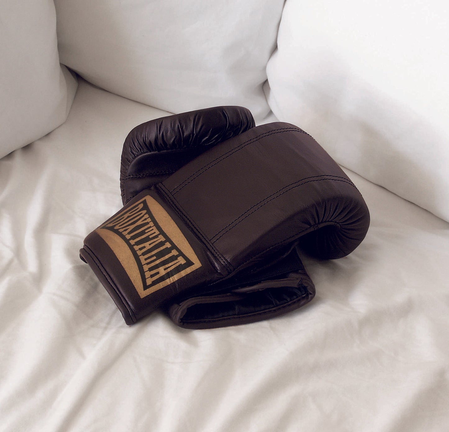 Boxitalia Boxe Gloves