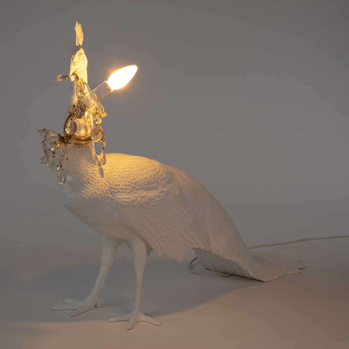 Peacock Led Lamp