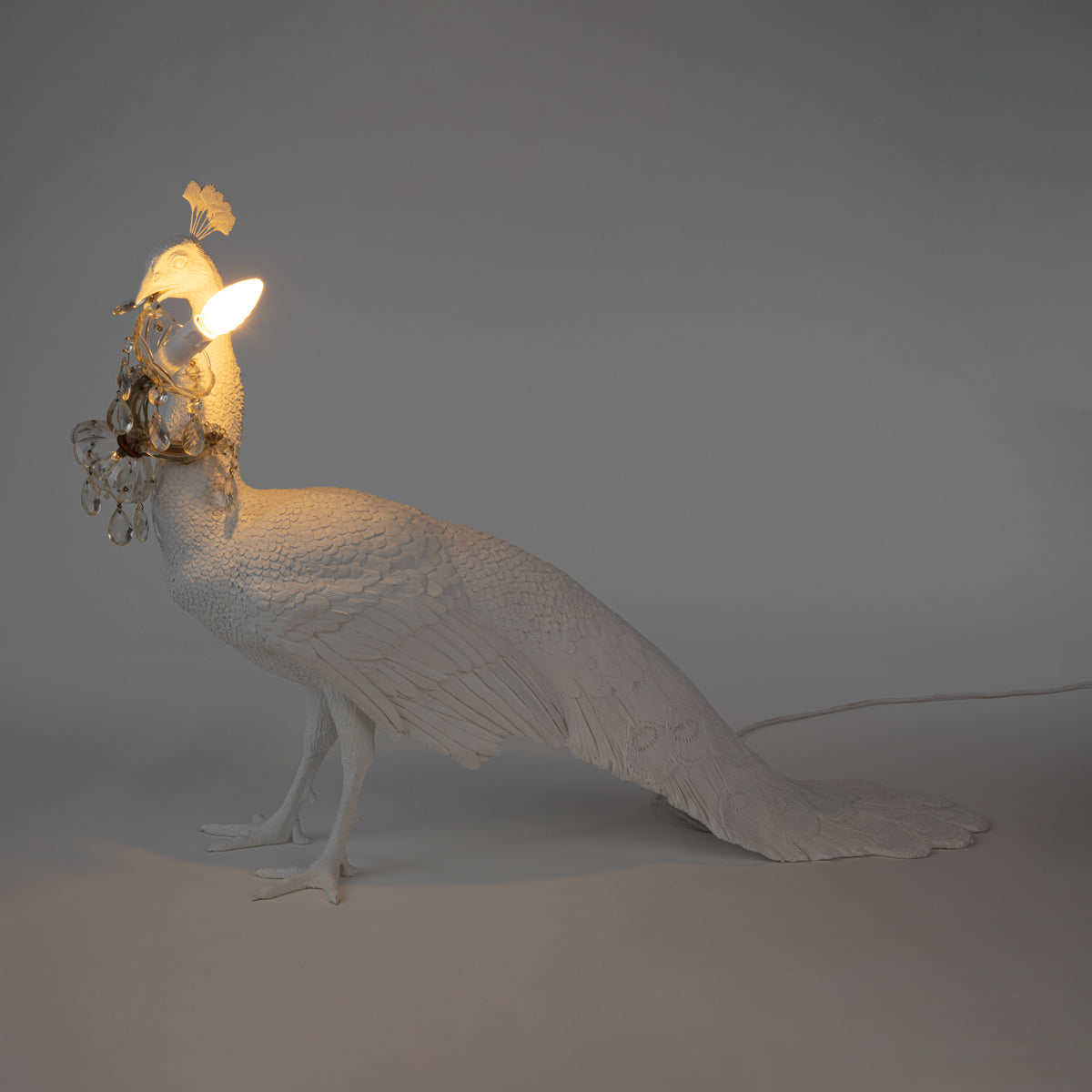 Peacock Led Lamp