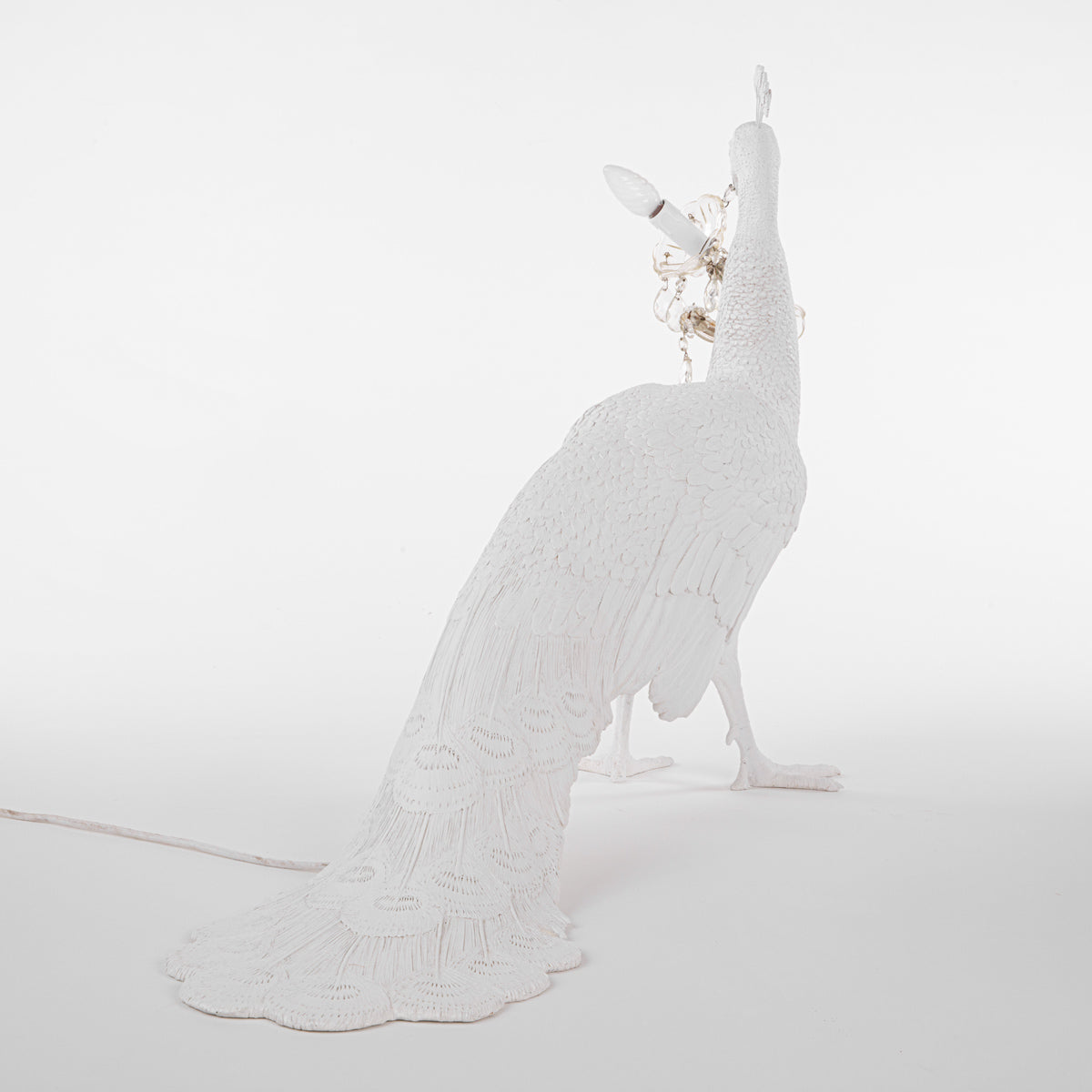 Peacock Led Lamp