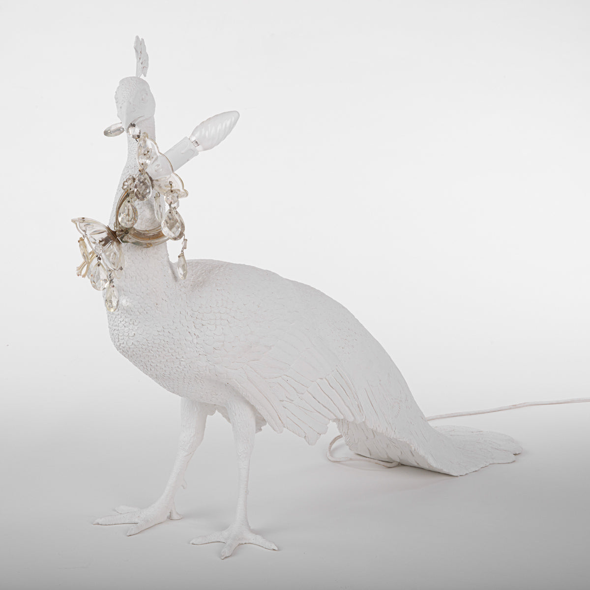 Peacock Led Lamp