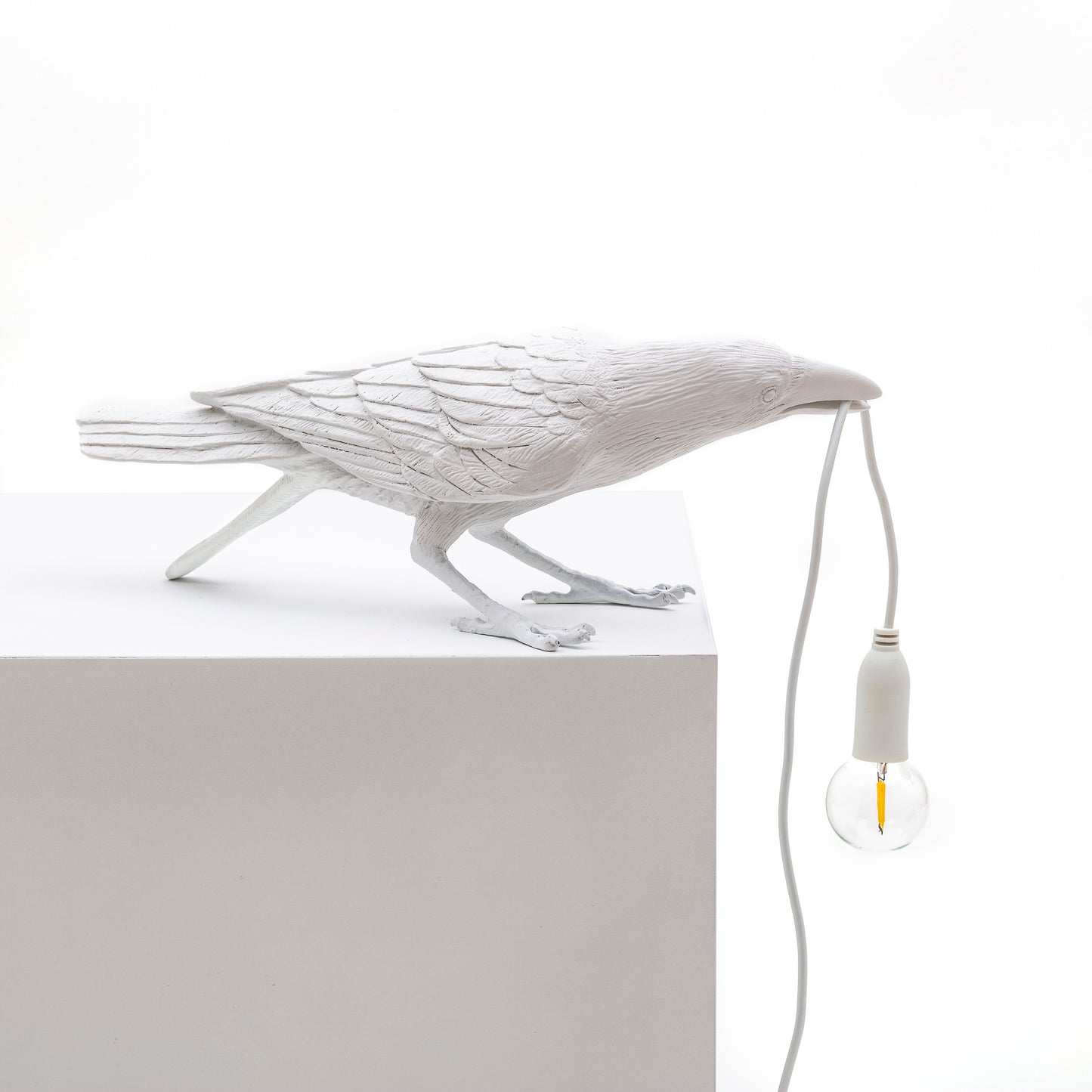 Bird Lamp White Playing