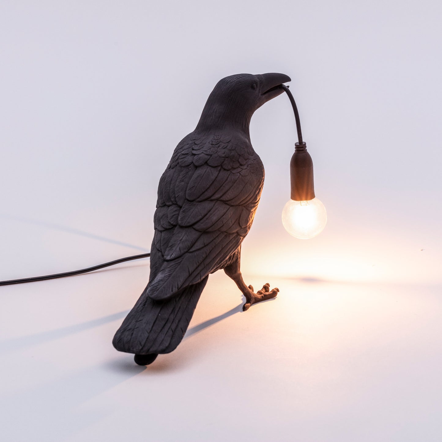 Bird Lamp Black Waiting OUTDOOR