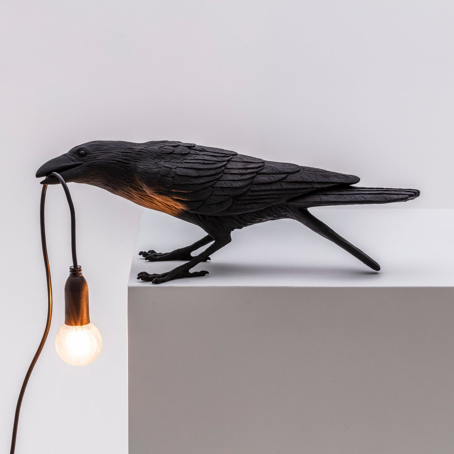 Bird Lamp Black Playing OUTDOOR