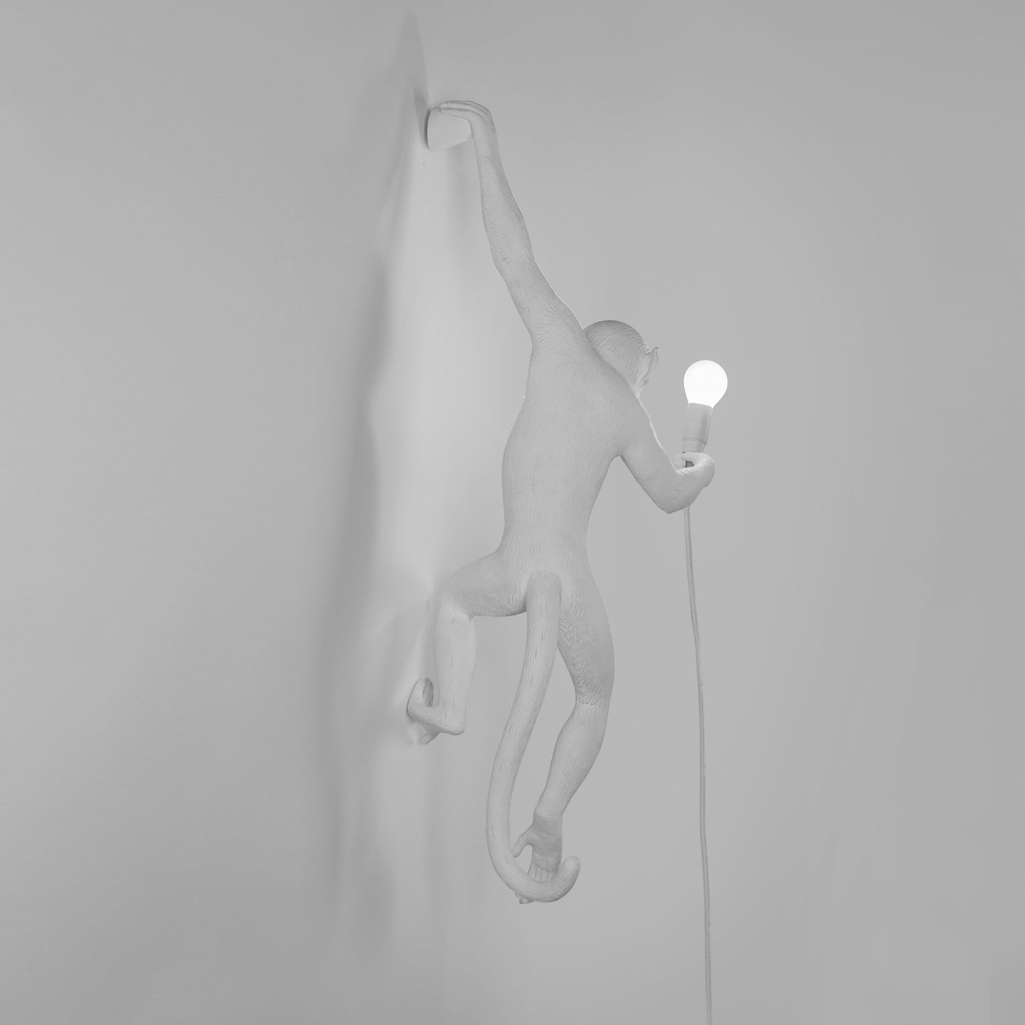 The Monkey Lamp Hanging Version Left