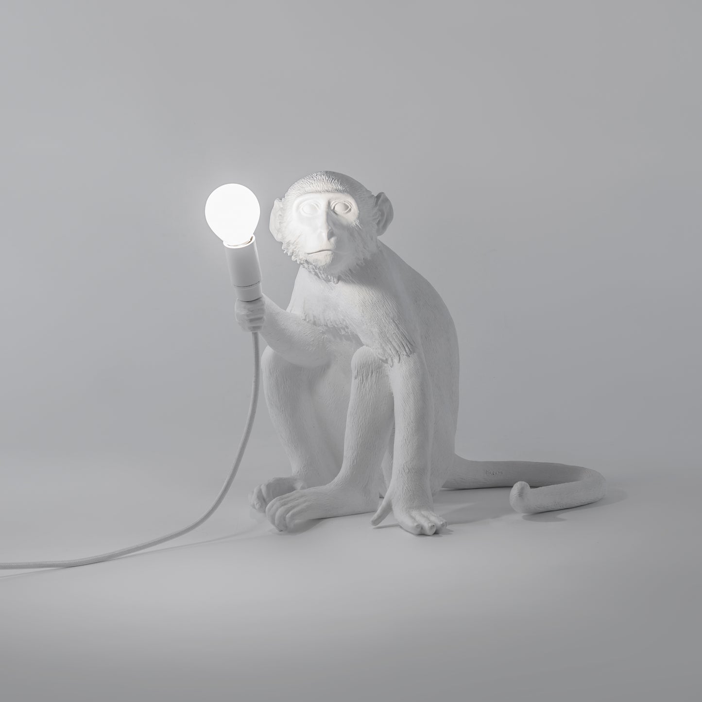 The Monkey Lamp Sitting Version
