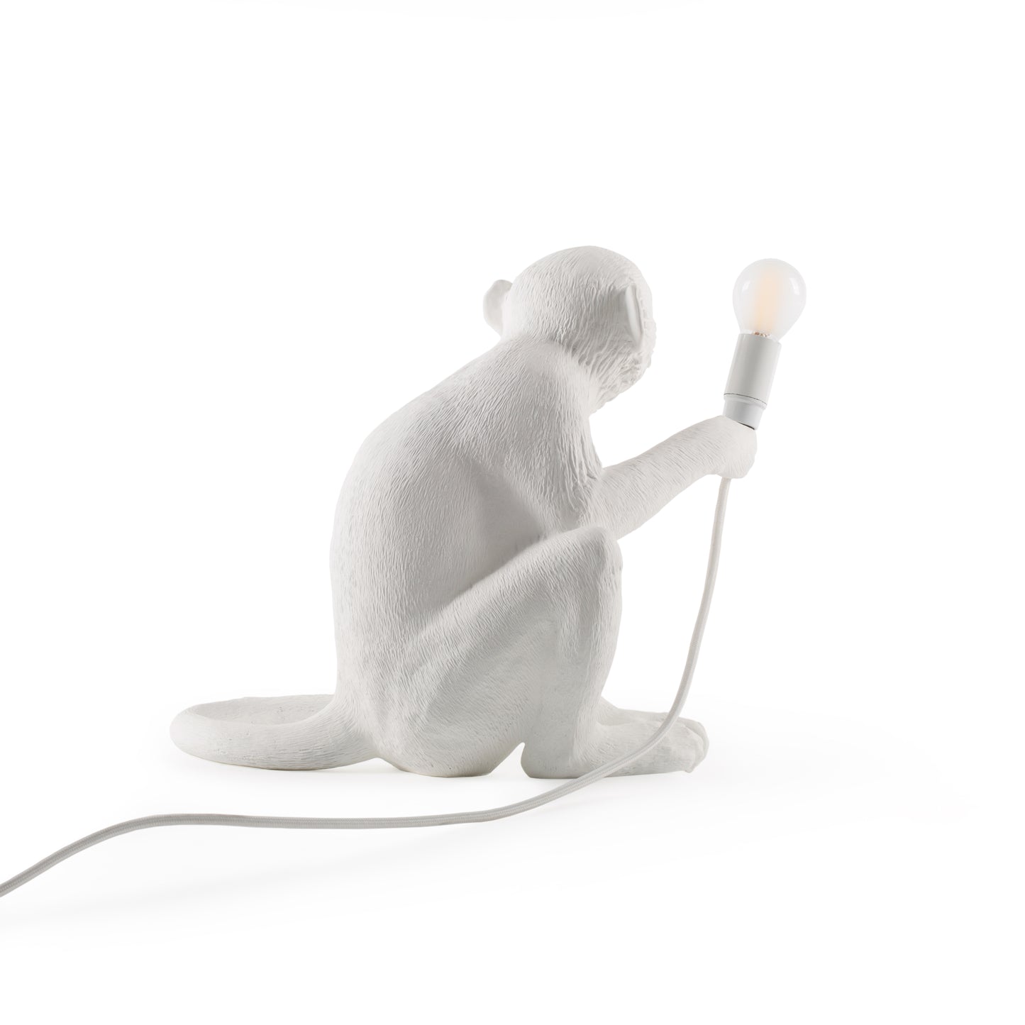The Monkey Lamp Sitting Version