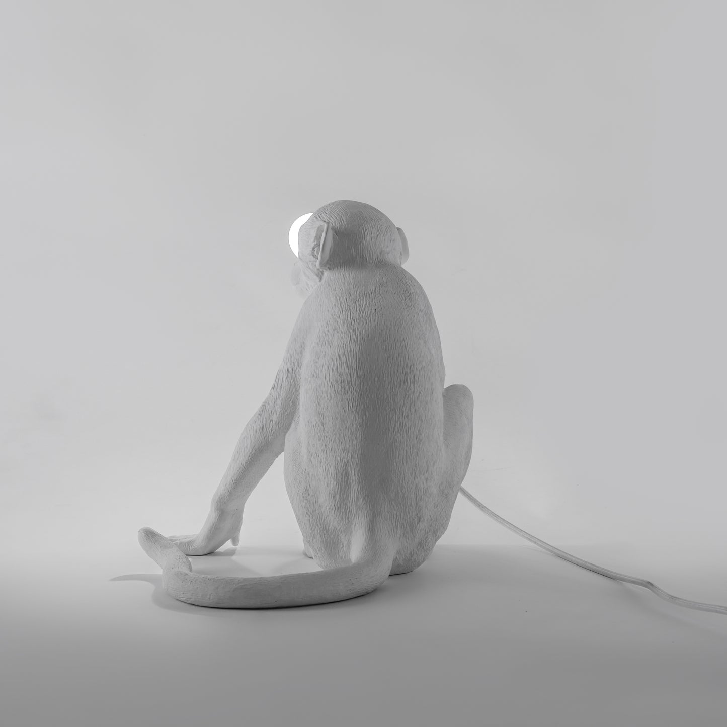 The Monkey Lamp Sitting Version