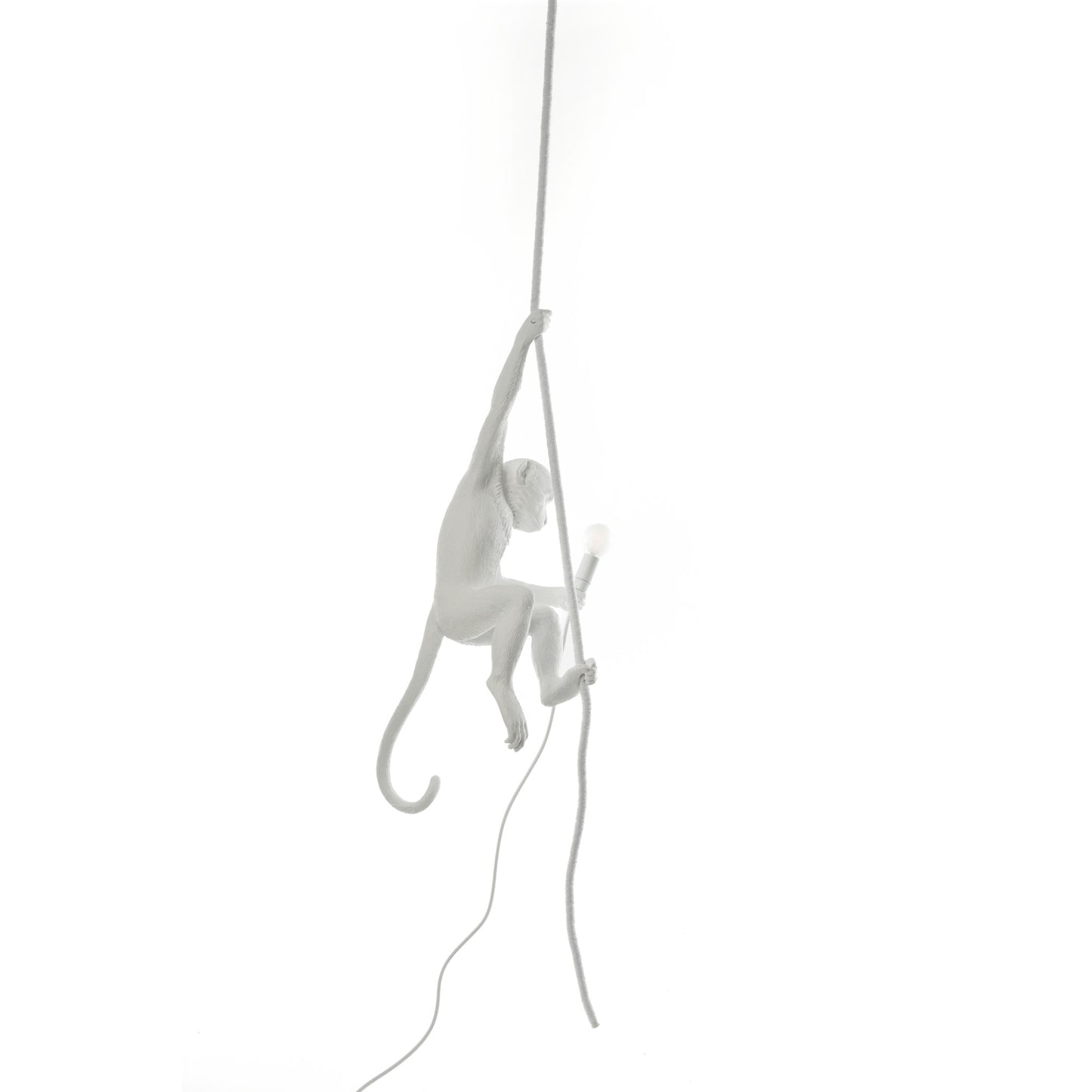 The Monkey Lamp Ceiling Version