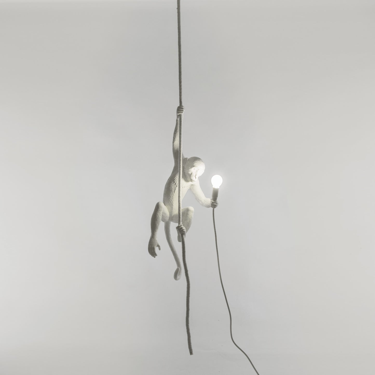 The Monkey Lamp Ceiling Version