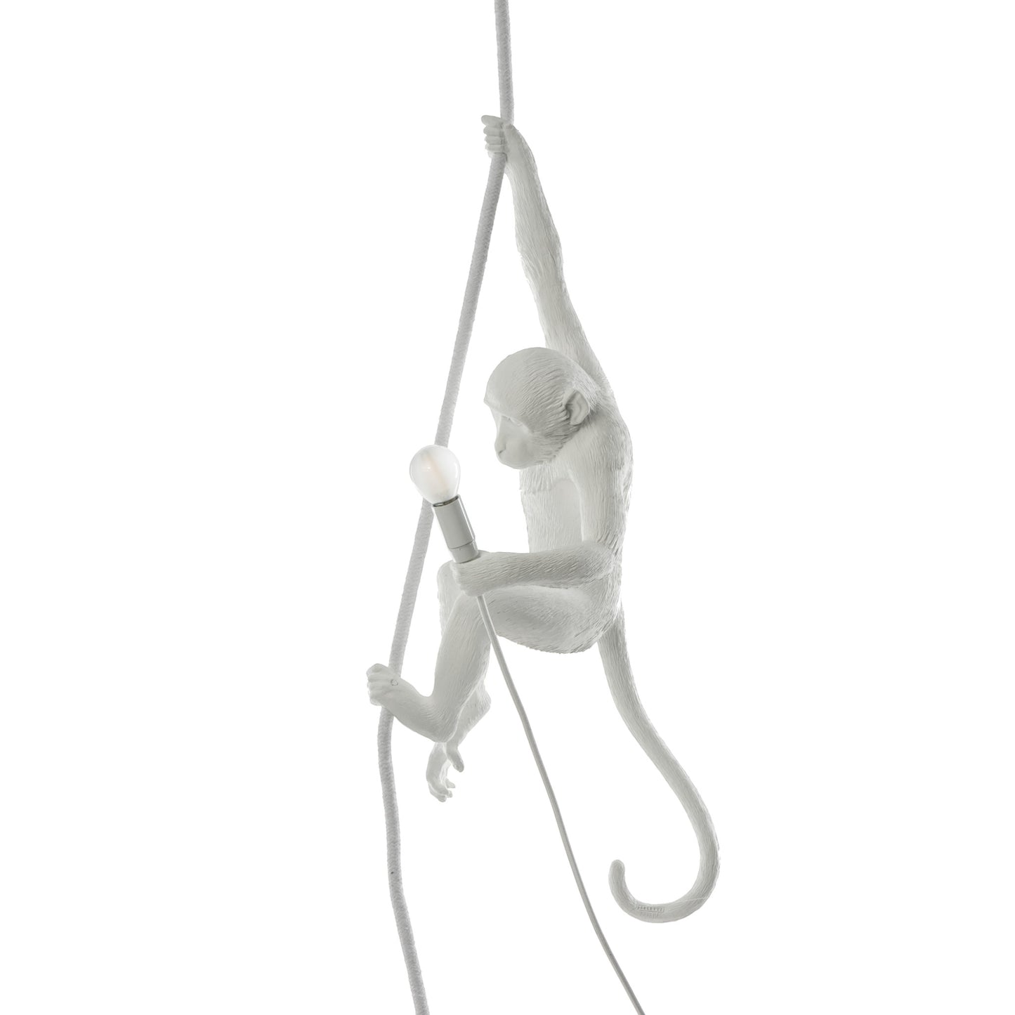 The Monkey Lamp Ceiling OUTDOOR Version