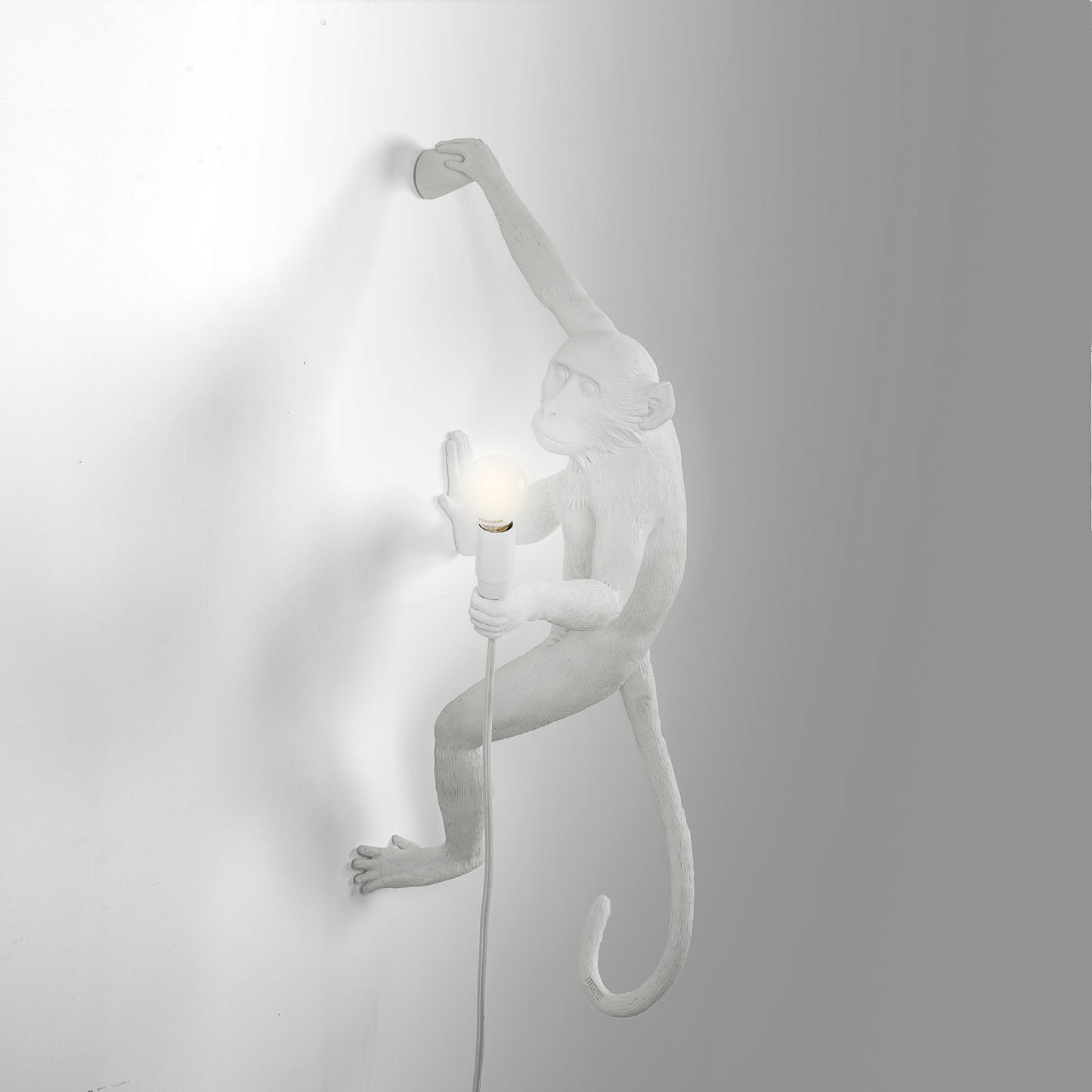 The Monkey Lamp Hanging Version Right Crazy