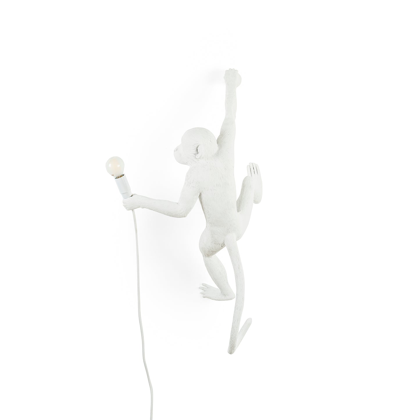 The Monkey Lamp Hanging Version Right Crazy