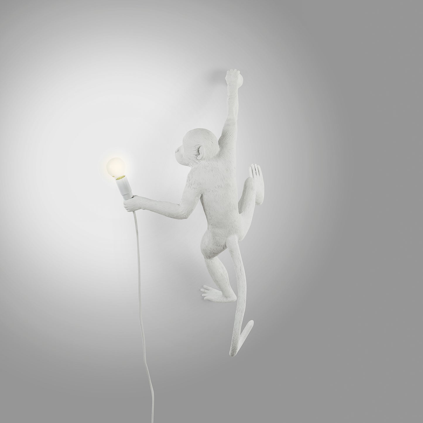 The Monkey Lamp Hanging Version Right Crazy