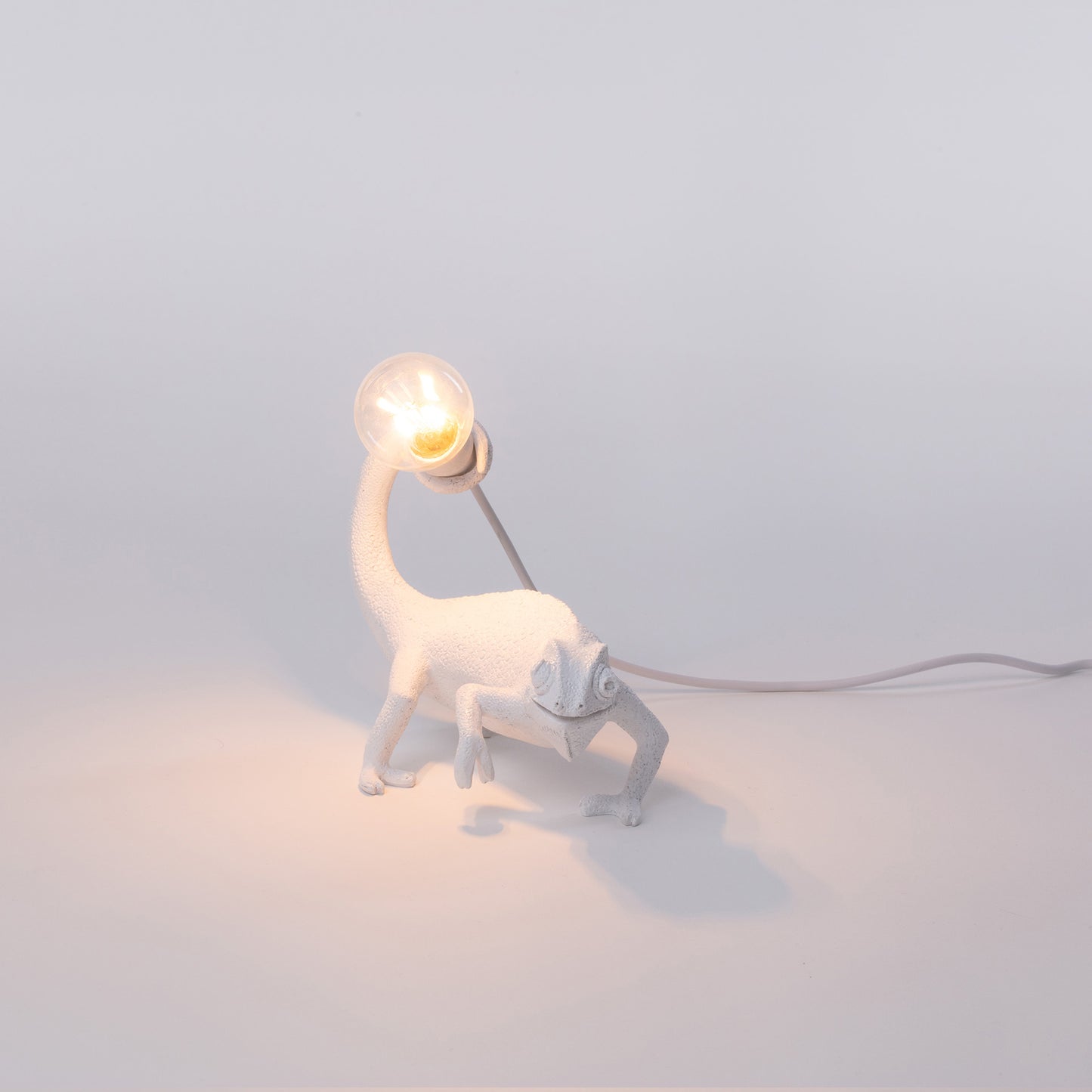 Chameleon Lamp Still USB