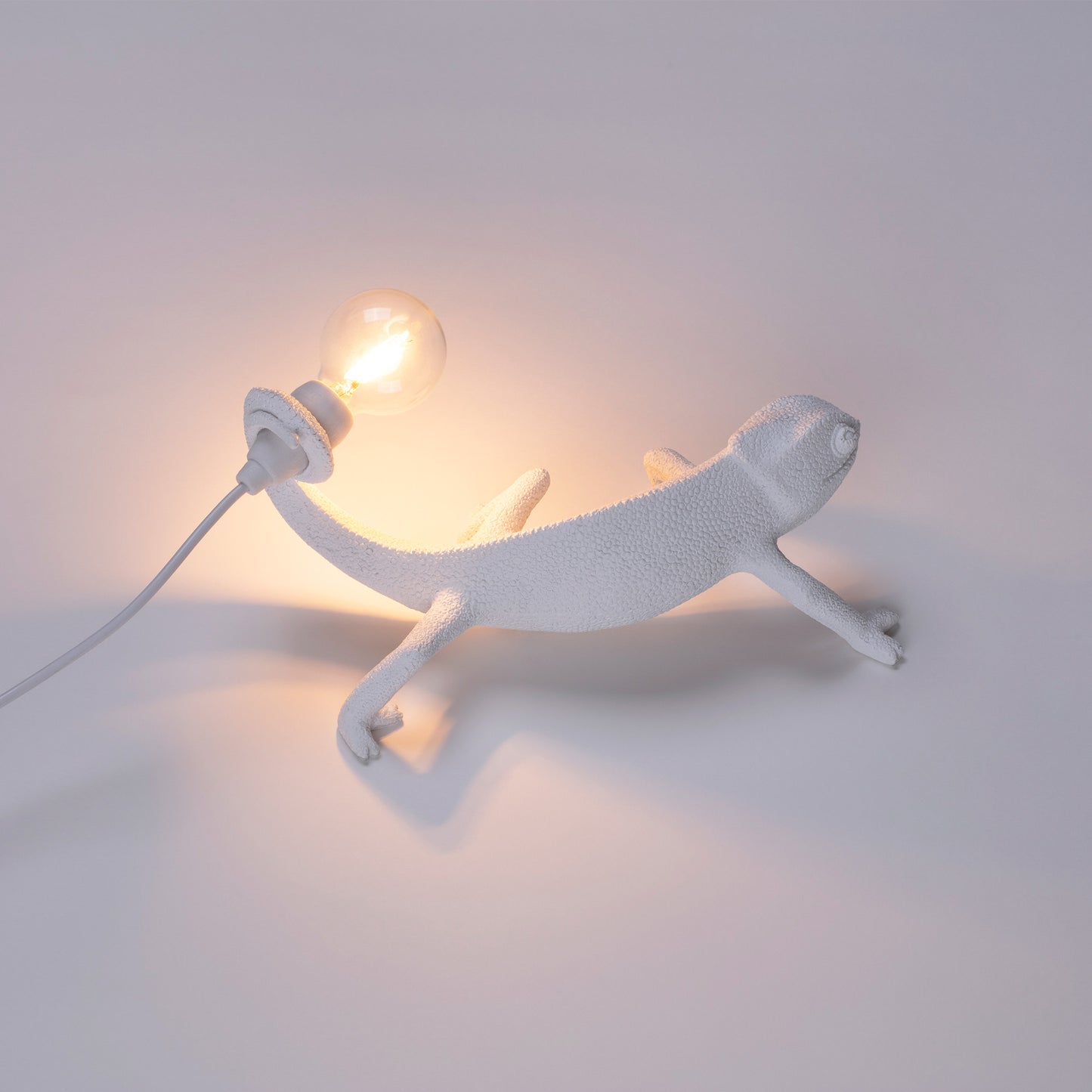 Chameleon Lamp Still USB