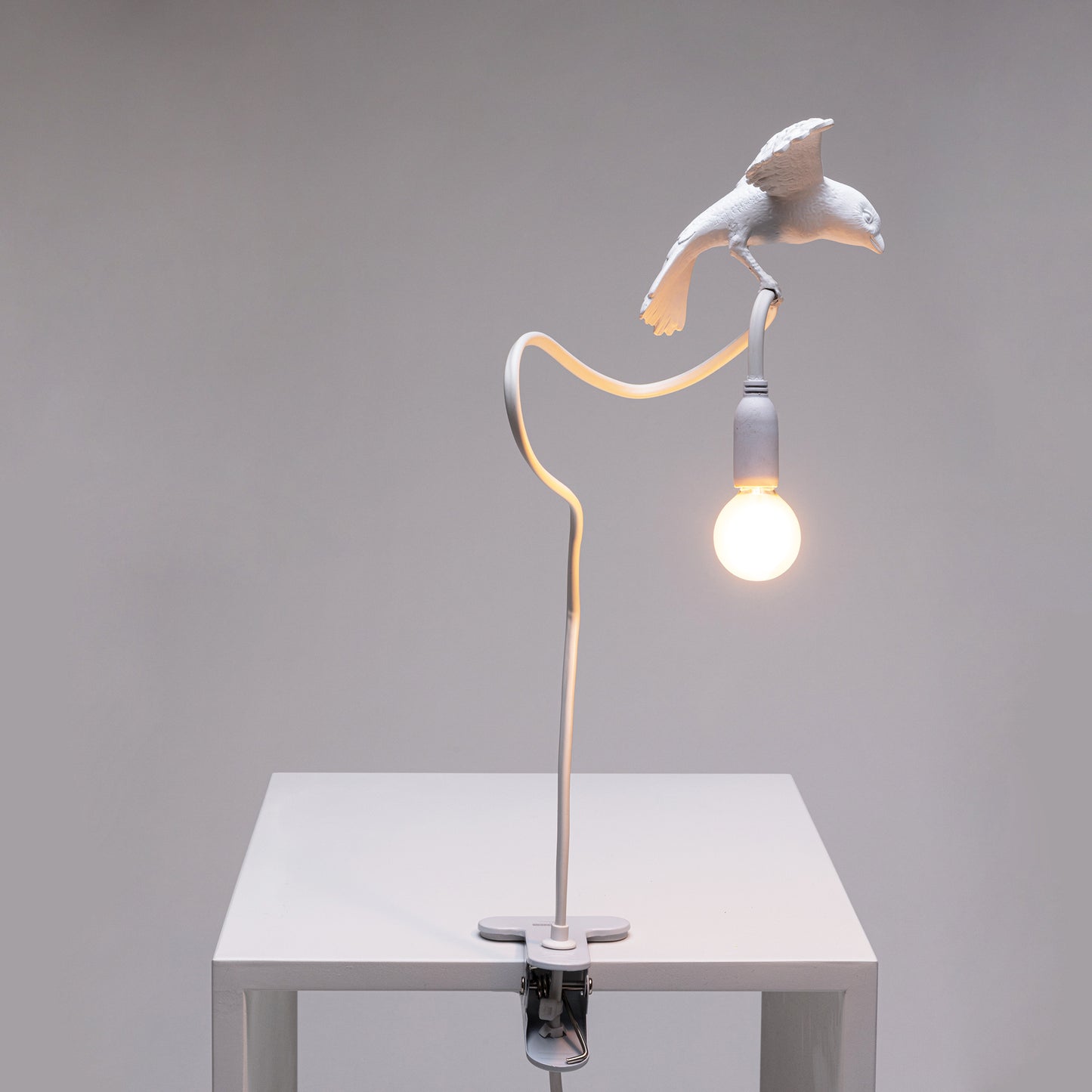 Sparrow Lamp with Clamp - Cruising