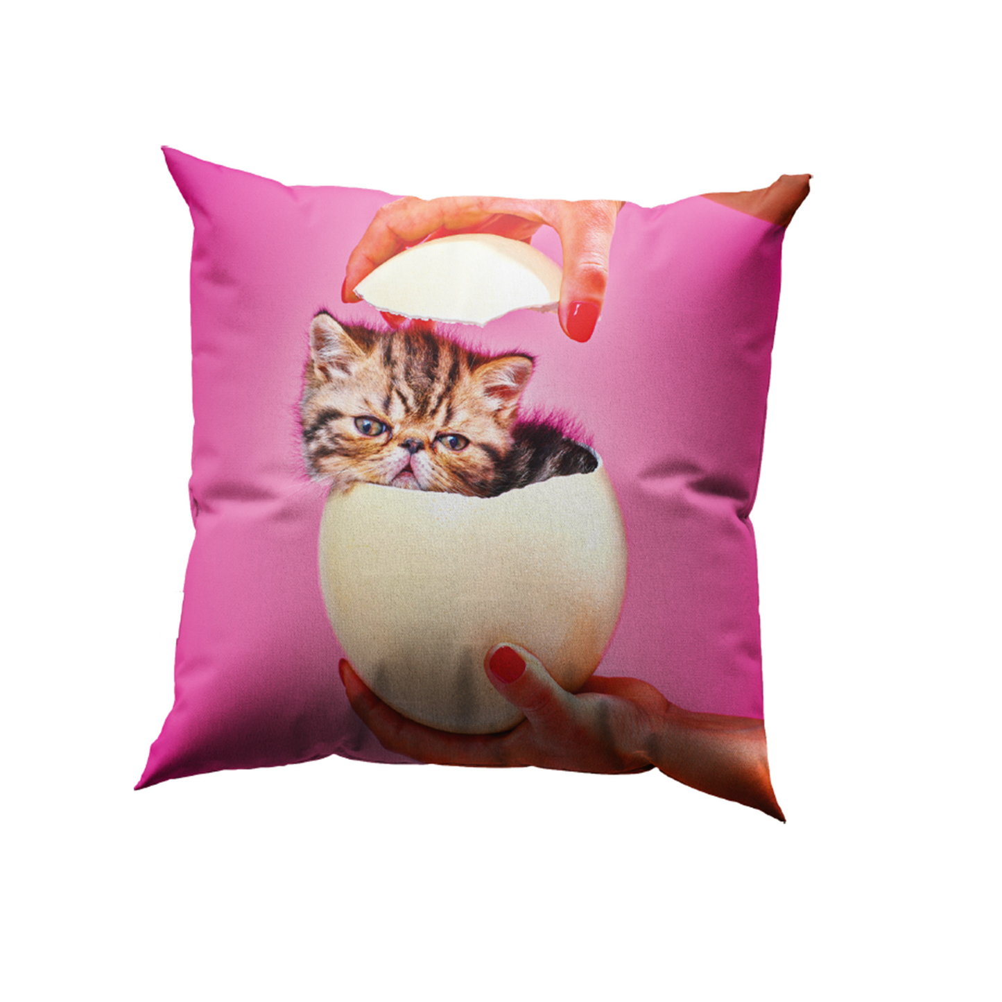 TOILETPAPER PETS CUSHION - CAT SURPRISE