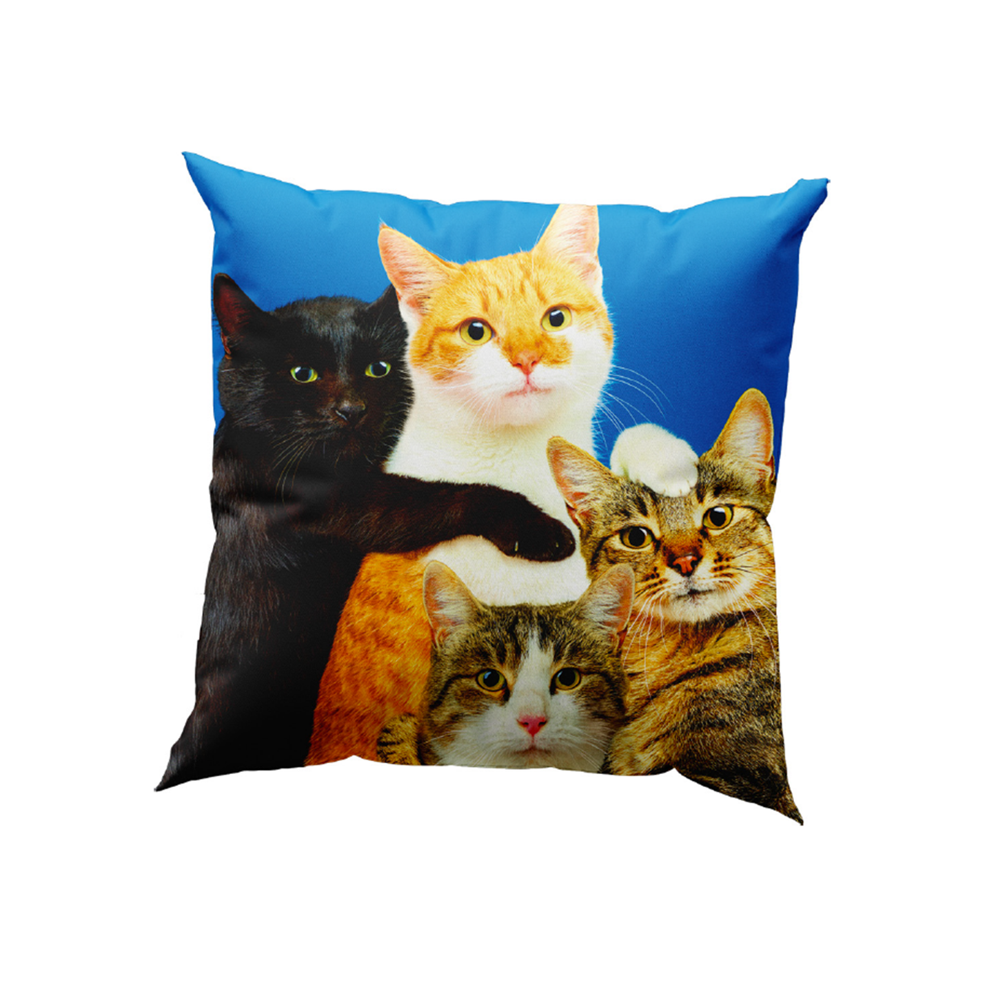 TOILETPAPER PETS CUSHION - POLYCATS