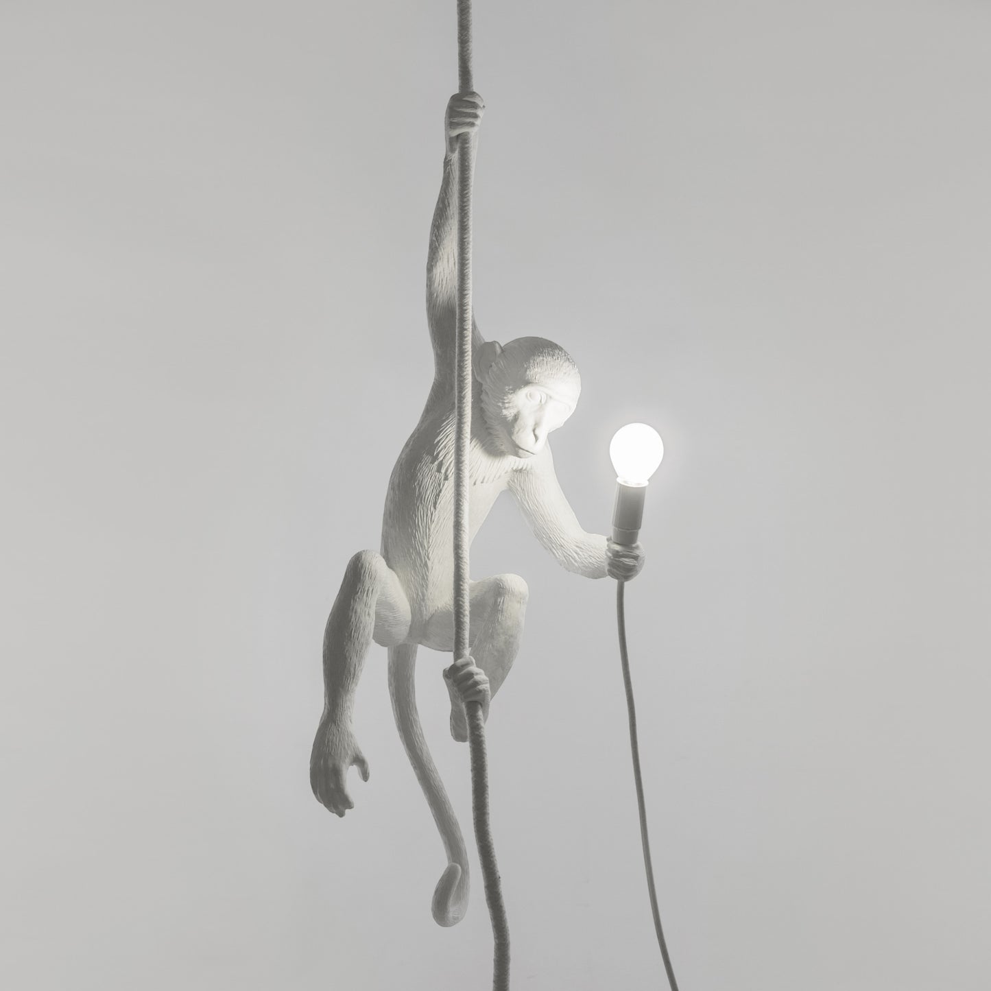 The Monkey Lamp Ceiling OUTDOOR Version