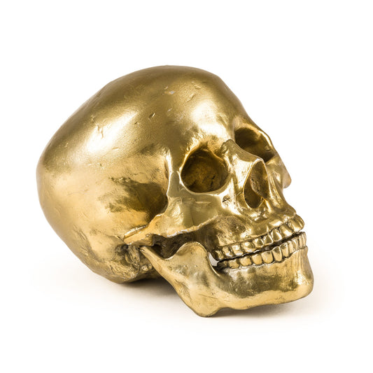 Wunderkrammer Human Skull