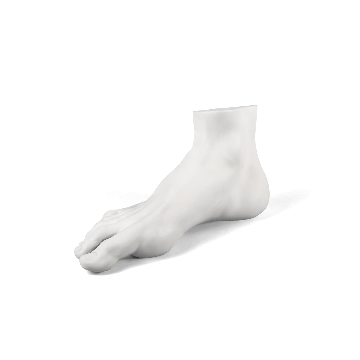 Memorabilia Mvsevm Male Foot