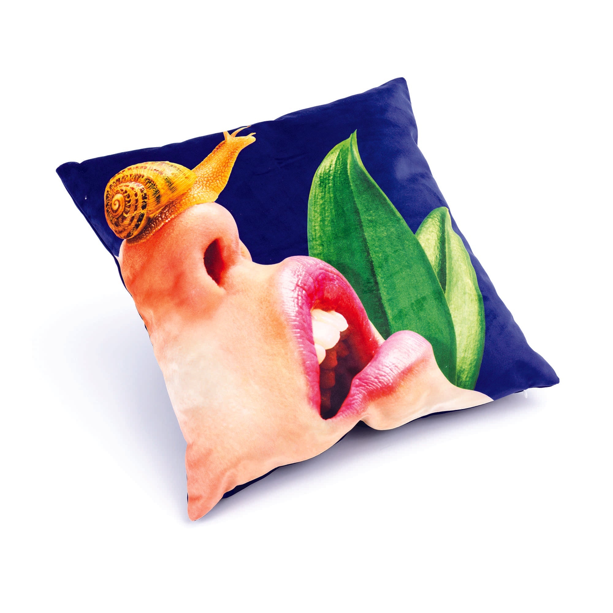 Cushion Snail – SELETTI UK