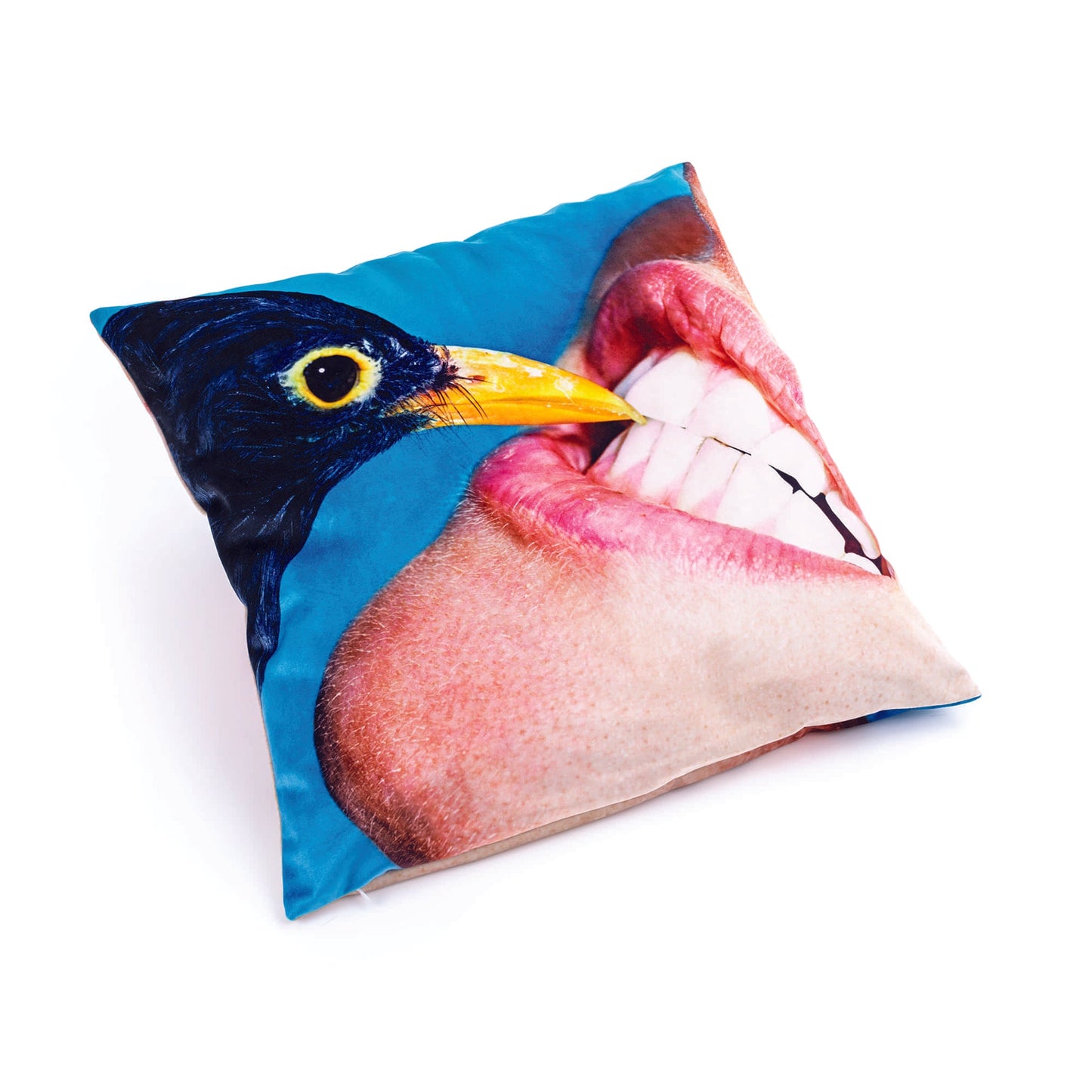 Cushion Crow