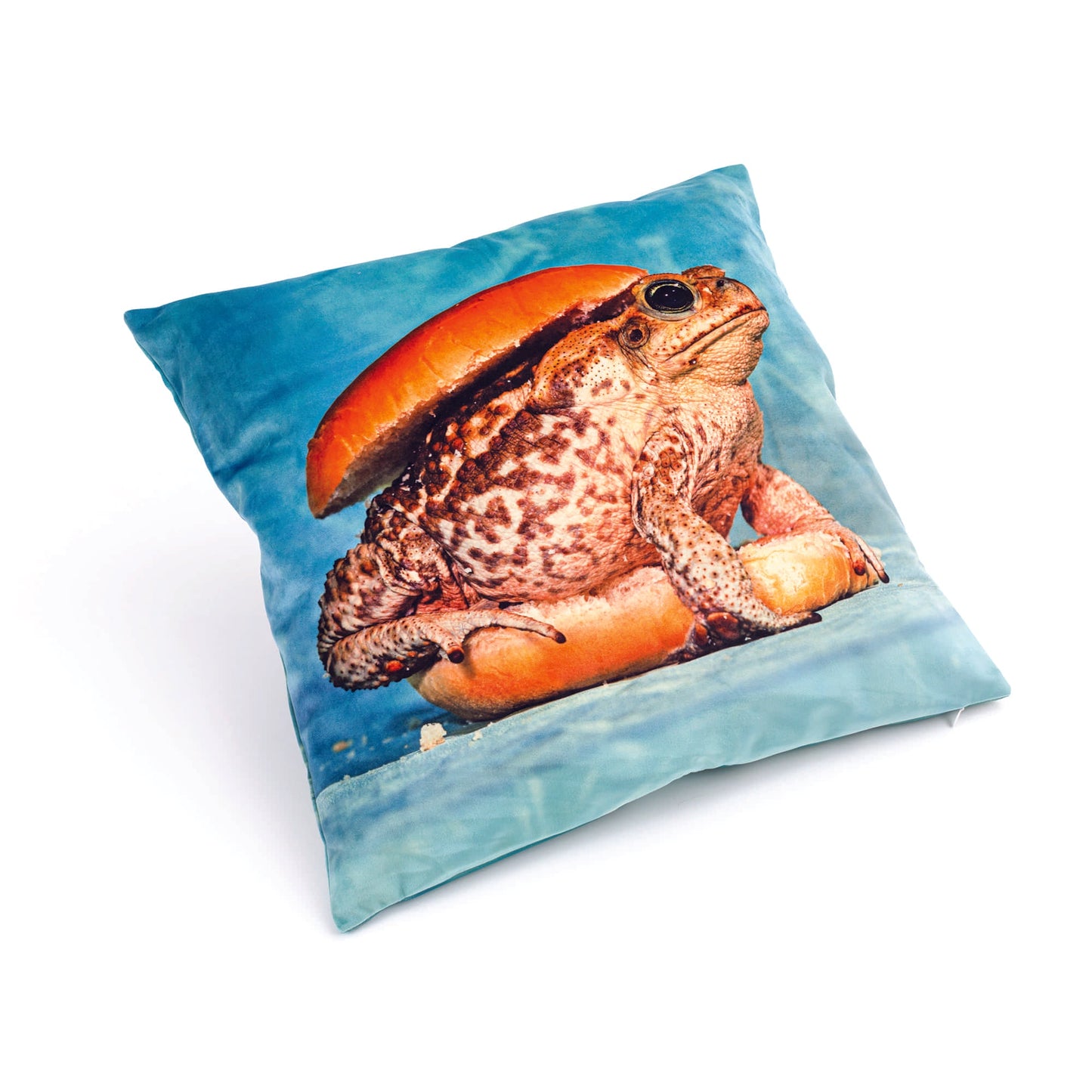 Cushion Toad