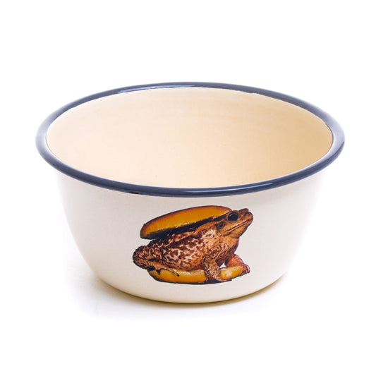 Enamel Bowl Toad