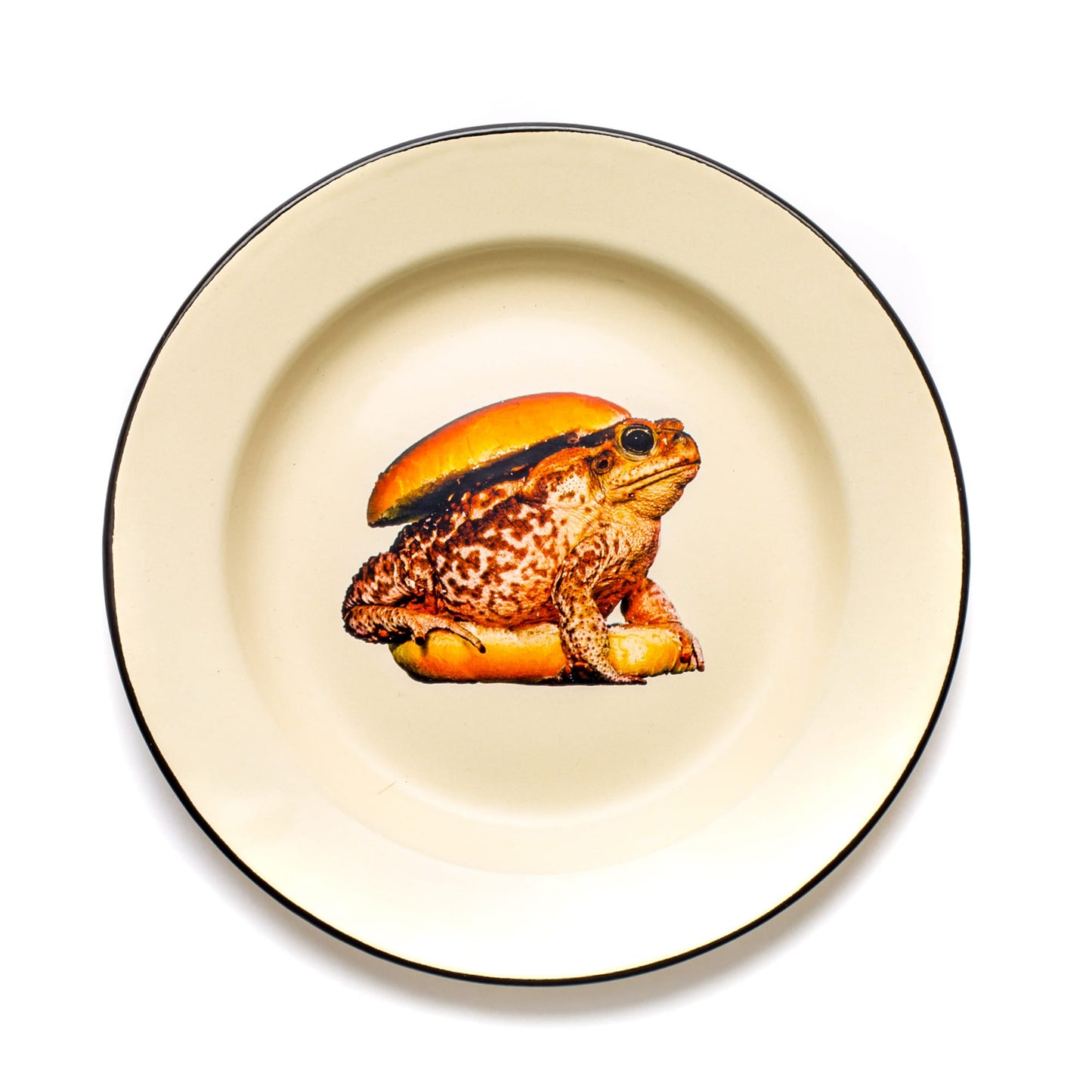 Enamel Plate Toad