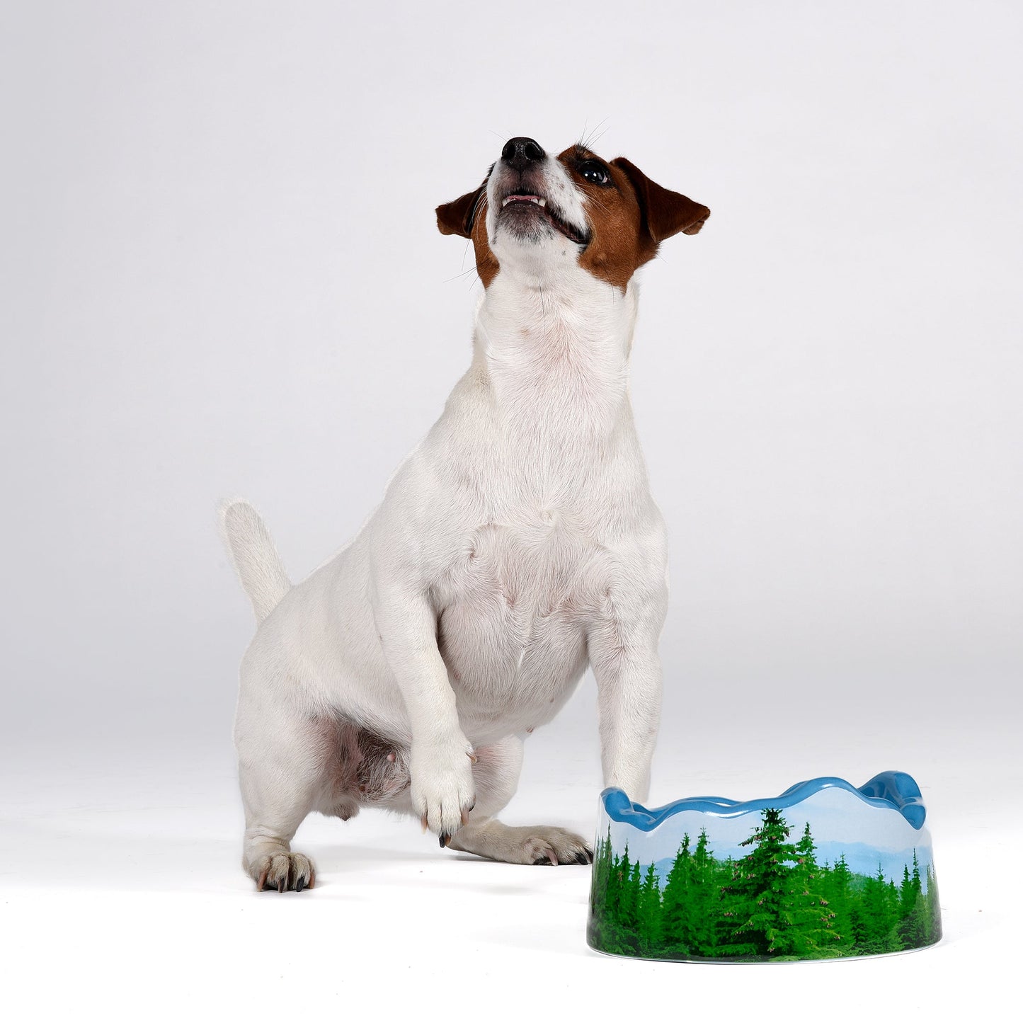 Ceramic bowl PETS (R)EVOLUTION Les Alpes